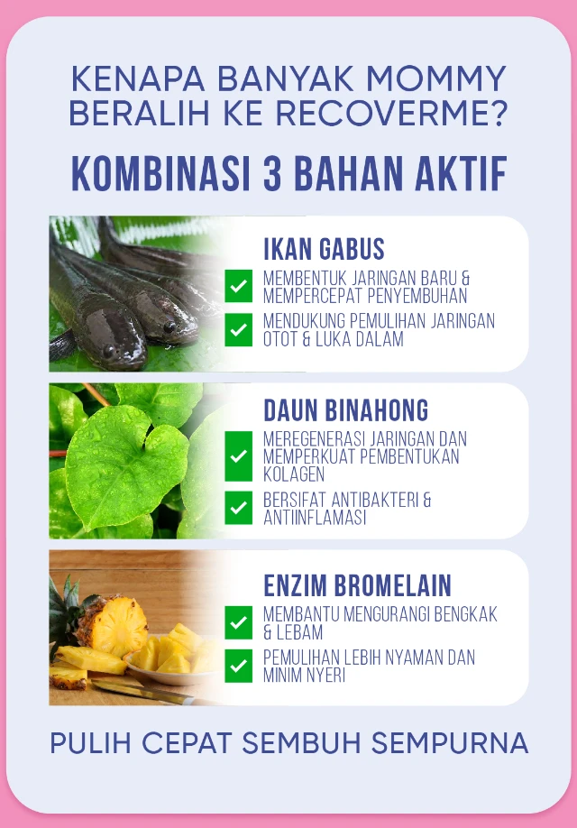 Cara Kerja RecoverMe